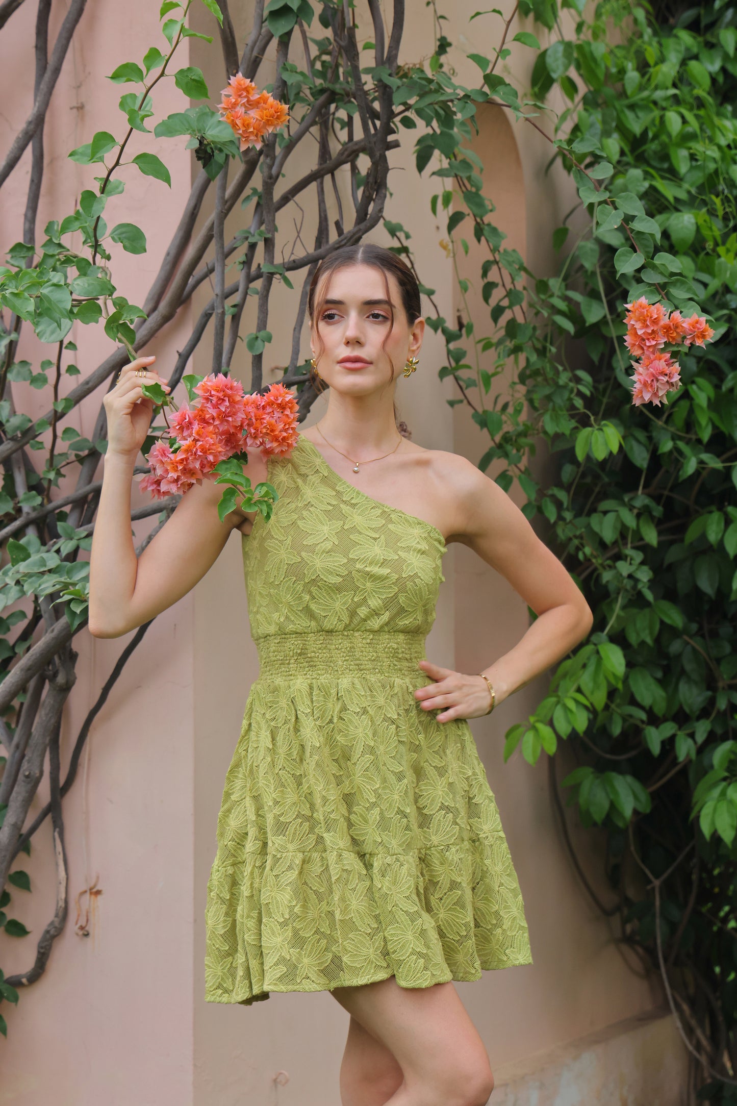 Blair Schiffli Dress